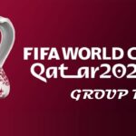 FIFA World Cup Qatar 2022 Group D